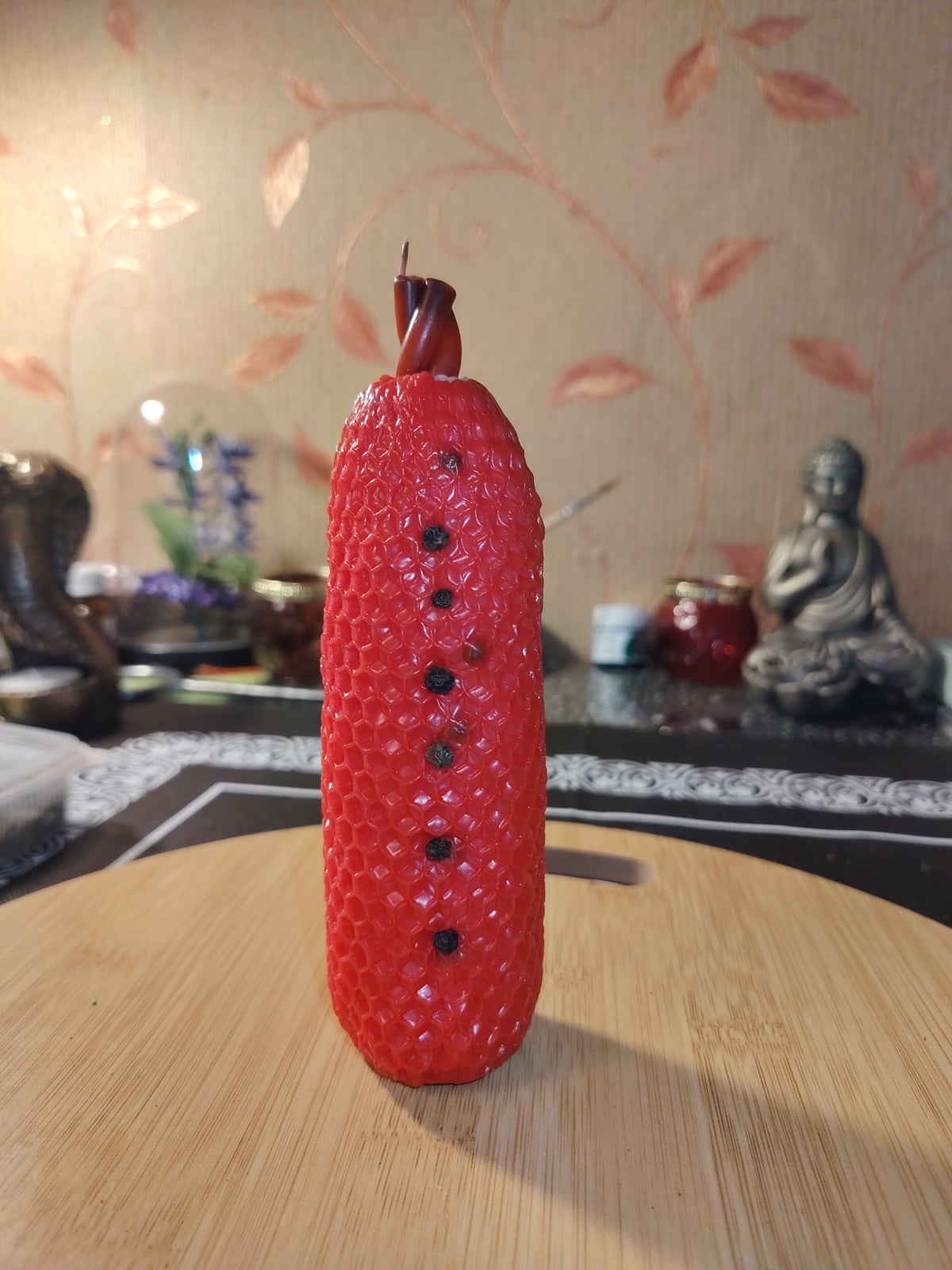 Фото из альбома «Программные свечи», Ситора